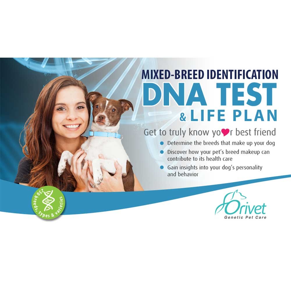 Mixed-Breed Dog Identification DNA Test and Life Plan™