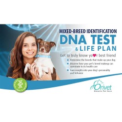 Orivet DOG Mixed Breed DNA Test Life Plan