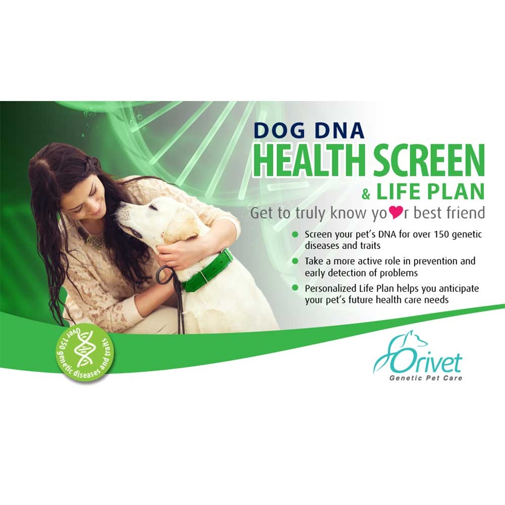 Dog DNA Health Screen and Life Plan™