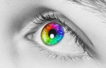autoxauto_rainbow_eye_heterochromia.png