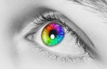 Two Different-Colored Eyes: All about Heterochromia and DNA | HomeDNA