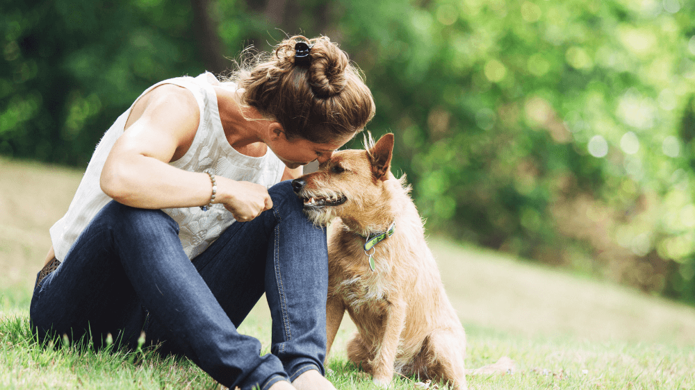 Identifying a Dog’s Breed: You May Be Barking Up the Wrong Tree!