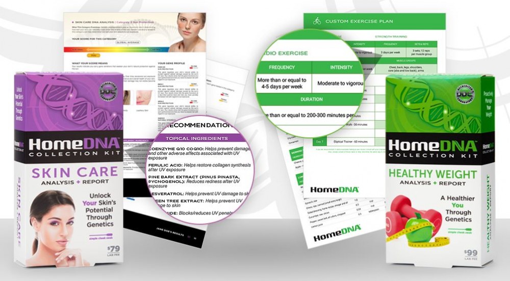 You Got Your DNA Test Results. Now What?