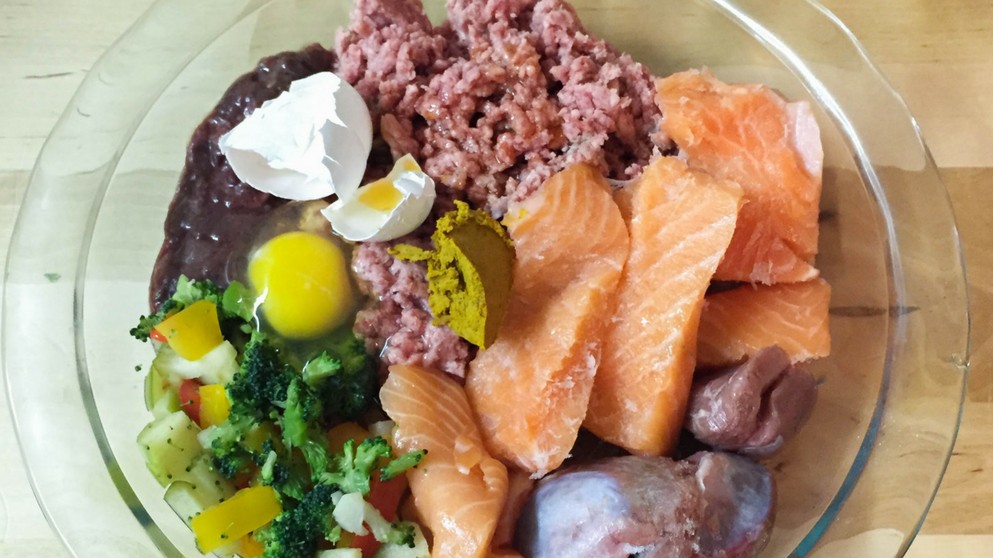 Life With Dogs Is A Raw Food Diet A Good Idea HomeDNA